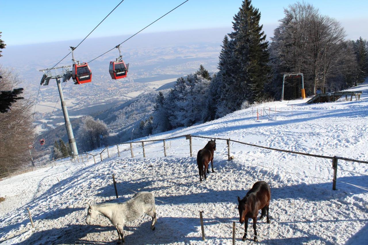 Pohorje Village Wellbeing Resort - Forest Apartments Videc Hočko Pohorje Eksteriør billede