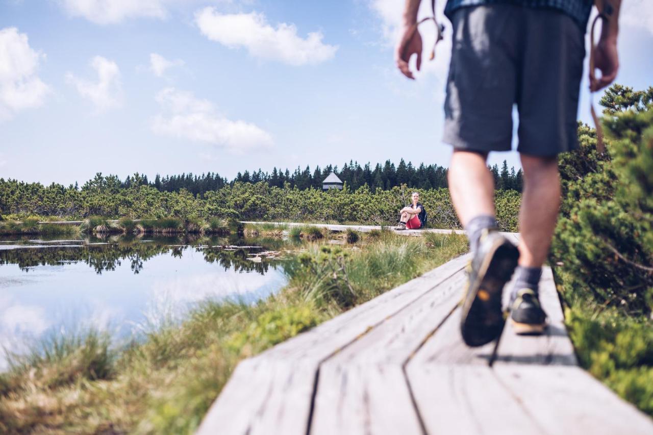 Pohorje Village Wellbeing Resort - Forest Apartments Videc Hočko Pohorje Eksteriør billede