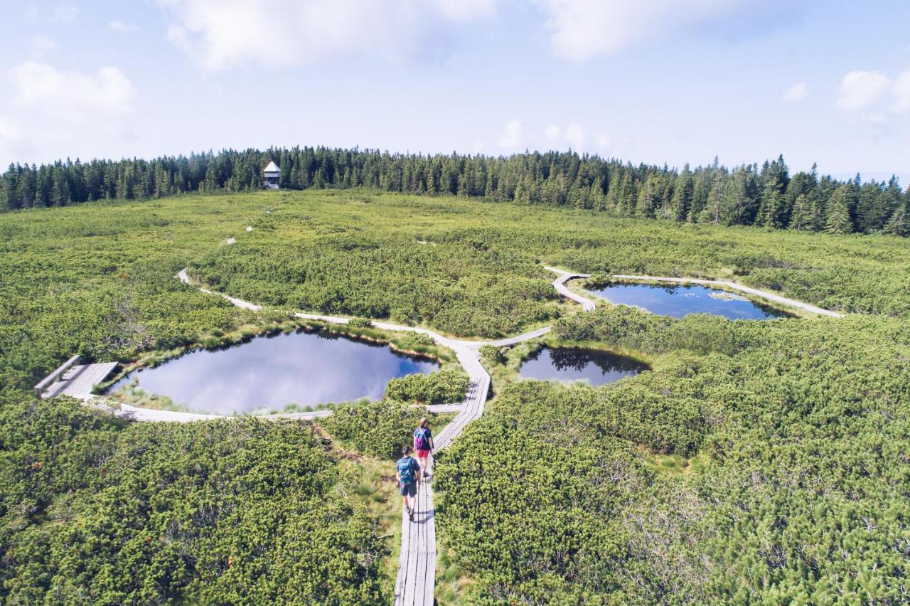 Pohorje Village Wellbeing Resort - Forest Apartments Videc Hočko Pohorje Eksteriør billede