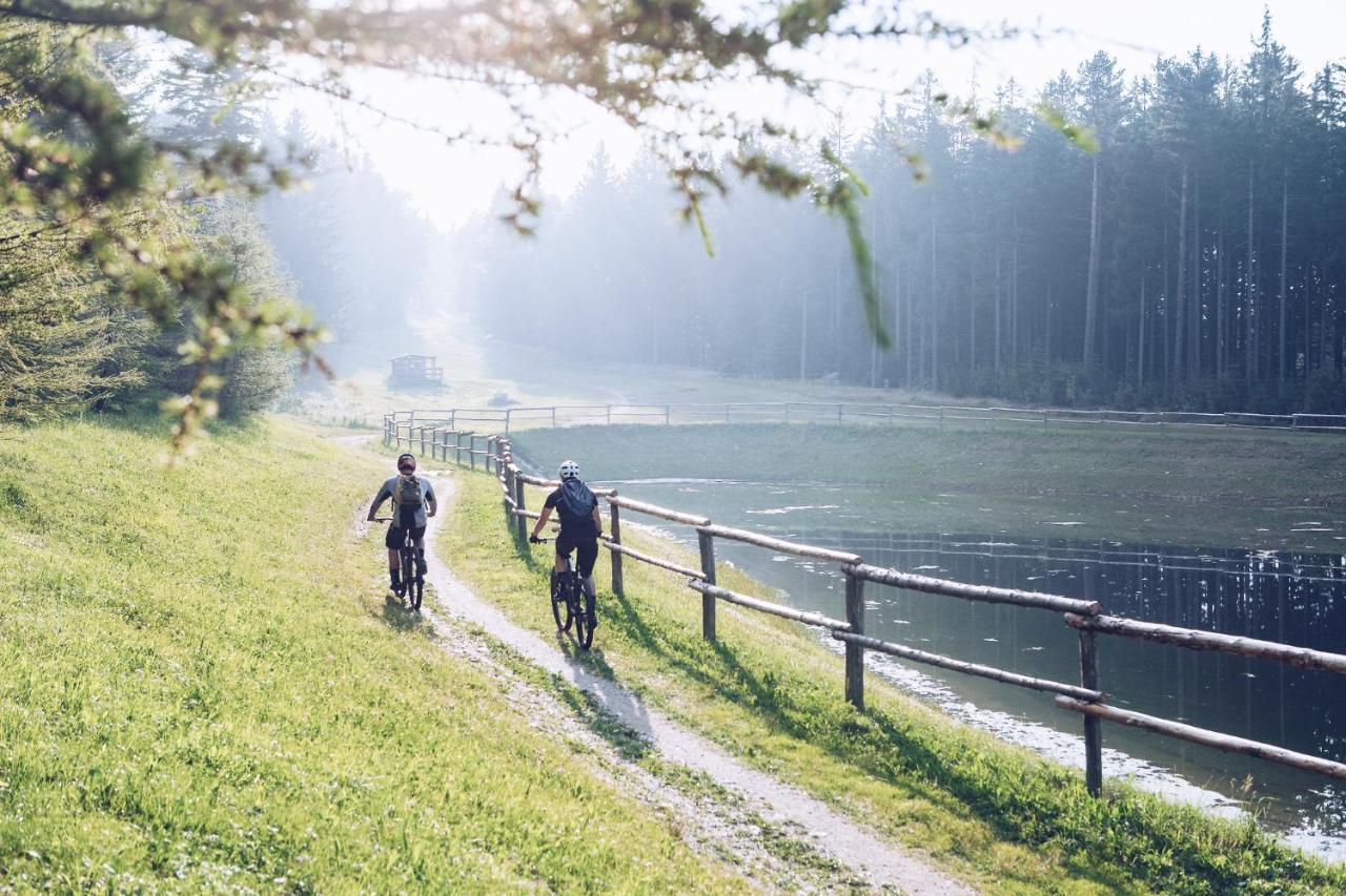Pohorje Village Wellbeing Resort - Forest Apartments Videc Hočko Pohorje Eksteriør billede