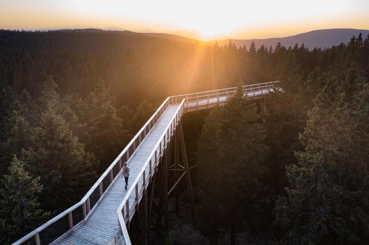 Pohorje Village Wellbeing Resort - Forest Apartments Videc Hočko Pohorje Eksteriør billede