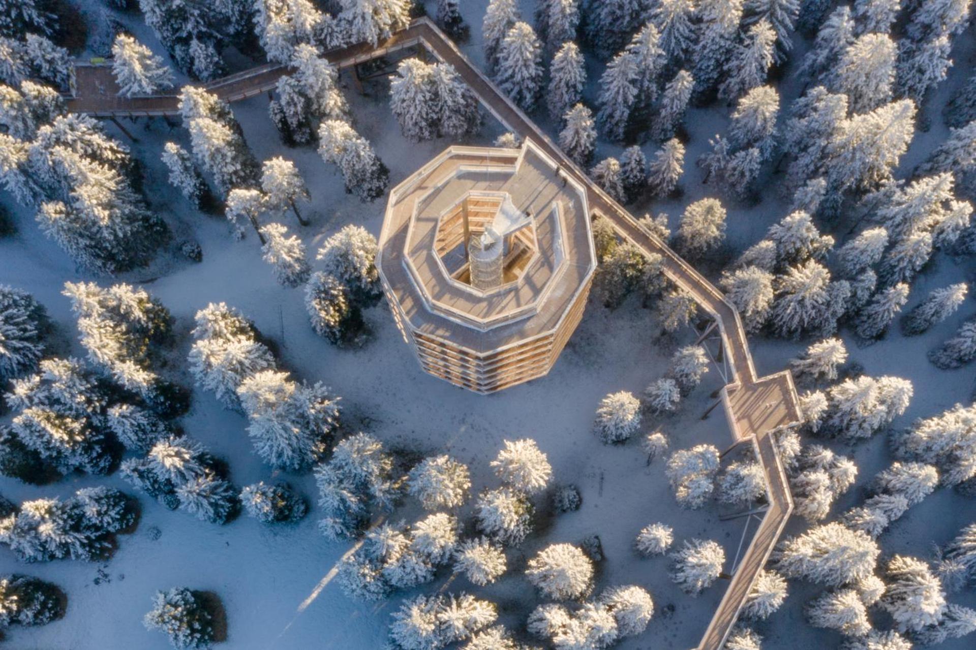 Pohorje Village Wellbeing Resort - Forest Apartments Videc Hočko Pohorje Eksteriør billede